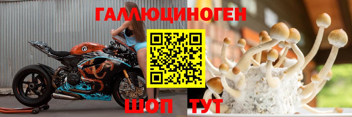 Псилоцибиновые грибы Psilocybine cubensis  Галлюциногенные грибы Magic Shrooms  Кубинка  Вход с VPN 