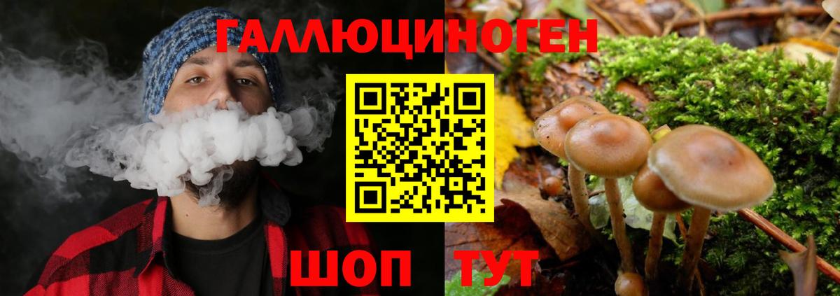 Галлюциногенные грибы MAGIC MUSHROOMS Кубинка